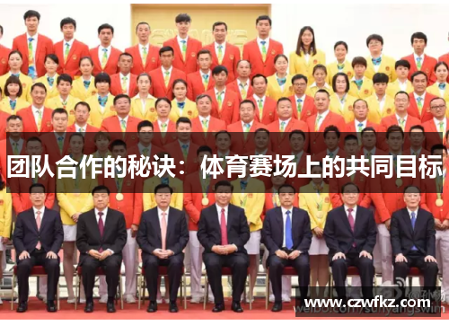 团队合作的秘诀：体育赛场上的共同目标